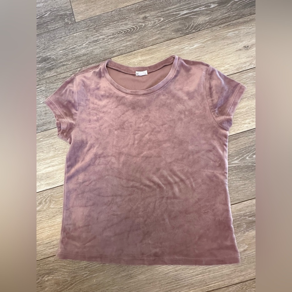Garage Velvet Short Sleeve Crop Top in Dusty Rose